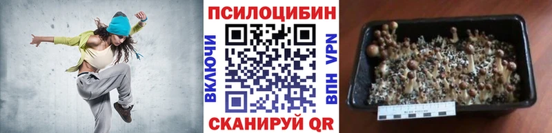 Псилоцибиновые грибы MAGIC MUSHROOMS  Бахчисарай 