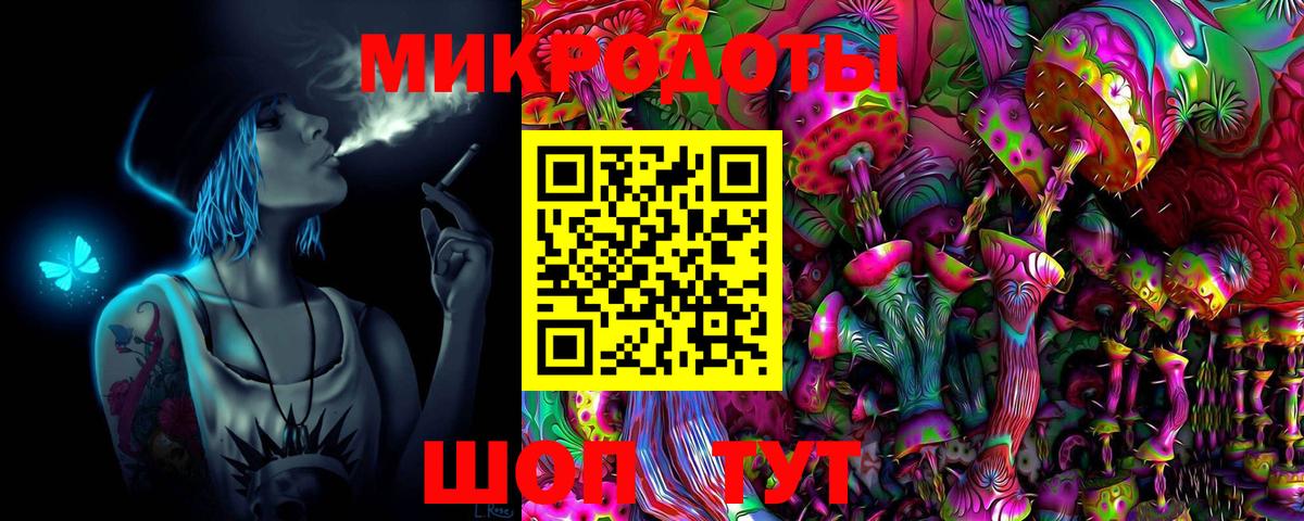 Псилоцибиновые грибы Psilocybine cubensis  Бахчисарай 