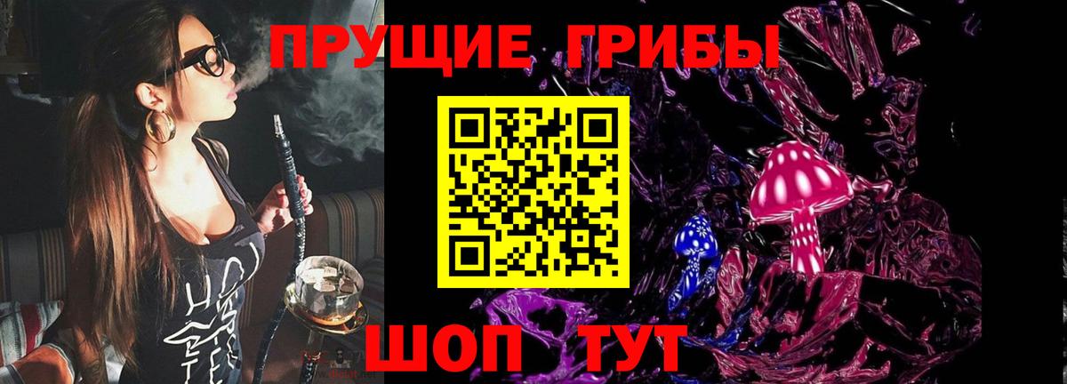 Бахчисарай  Псилоцибиновые грибы Cubensis  Вход с VPN 